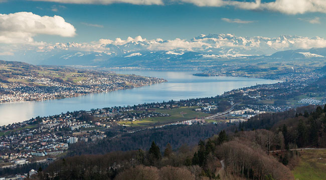 Hofwiesenstrasse 285