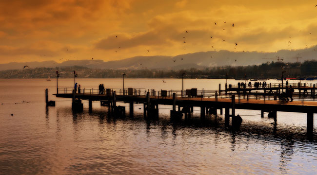 Hofwiesenstrasse 285