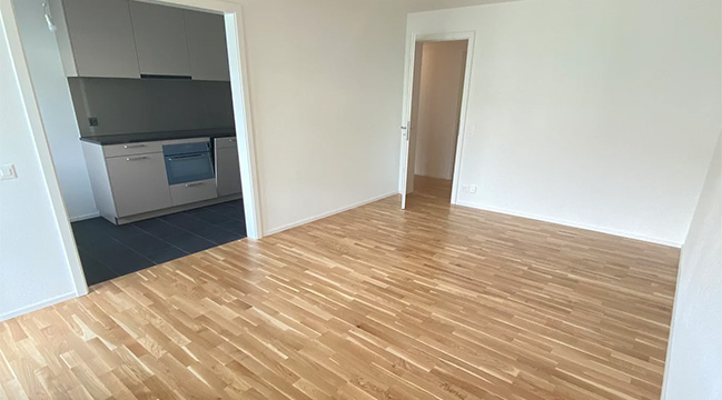 3.5 Zimmerwohnung Hofwiesenstrasse 285